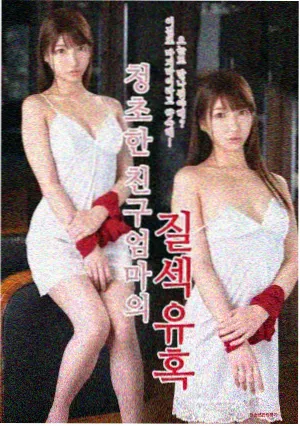 汉江以南剧集条目封面